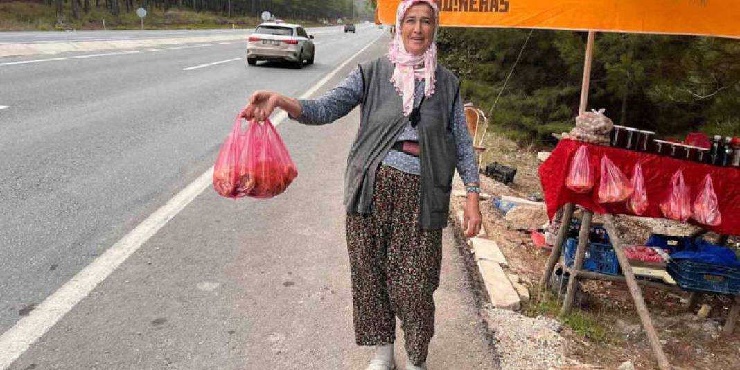 Yağışlarla birlikte topraktan bereket fışkırdı! Tezgahlar doldu taştı: Özel çıntarlar 600 liradan satılıyor 4